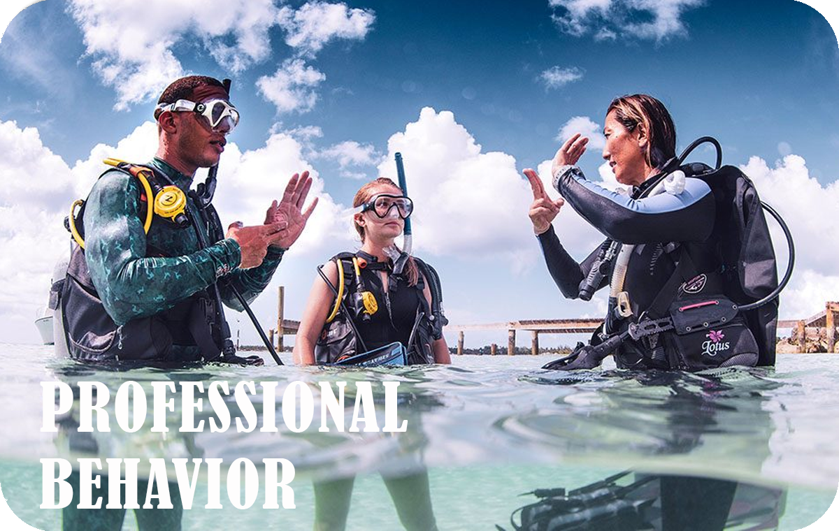 Professional Diving